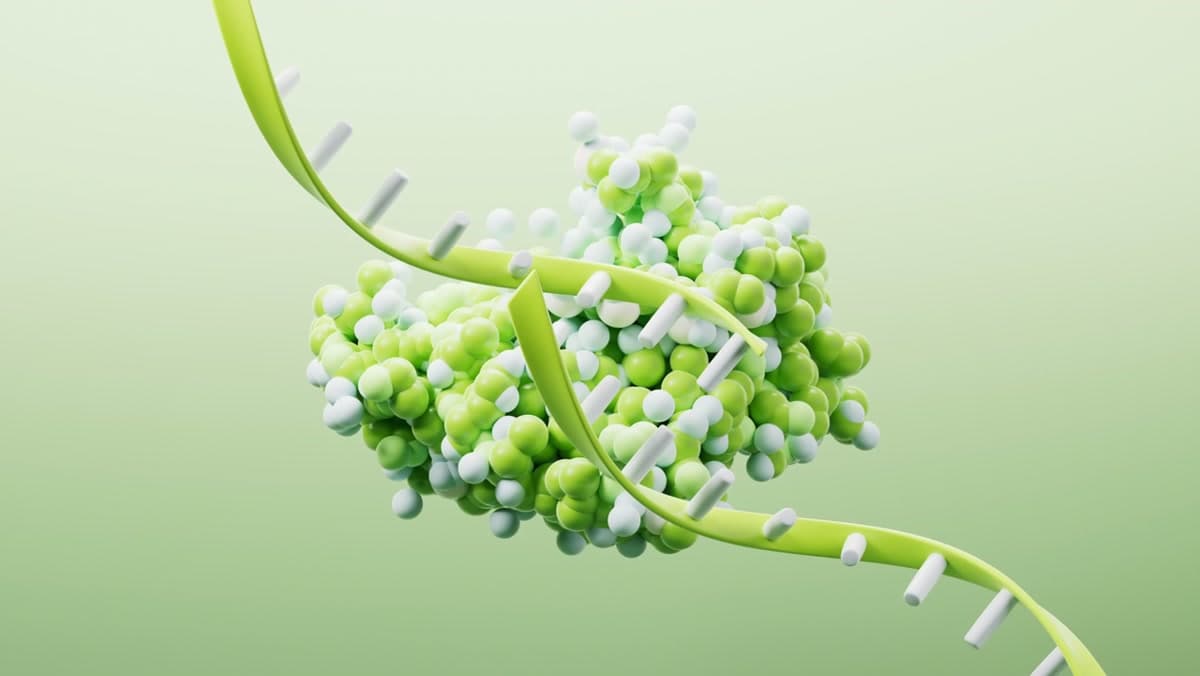 Medical technology visualization in NY Best Medical brand colors